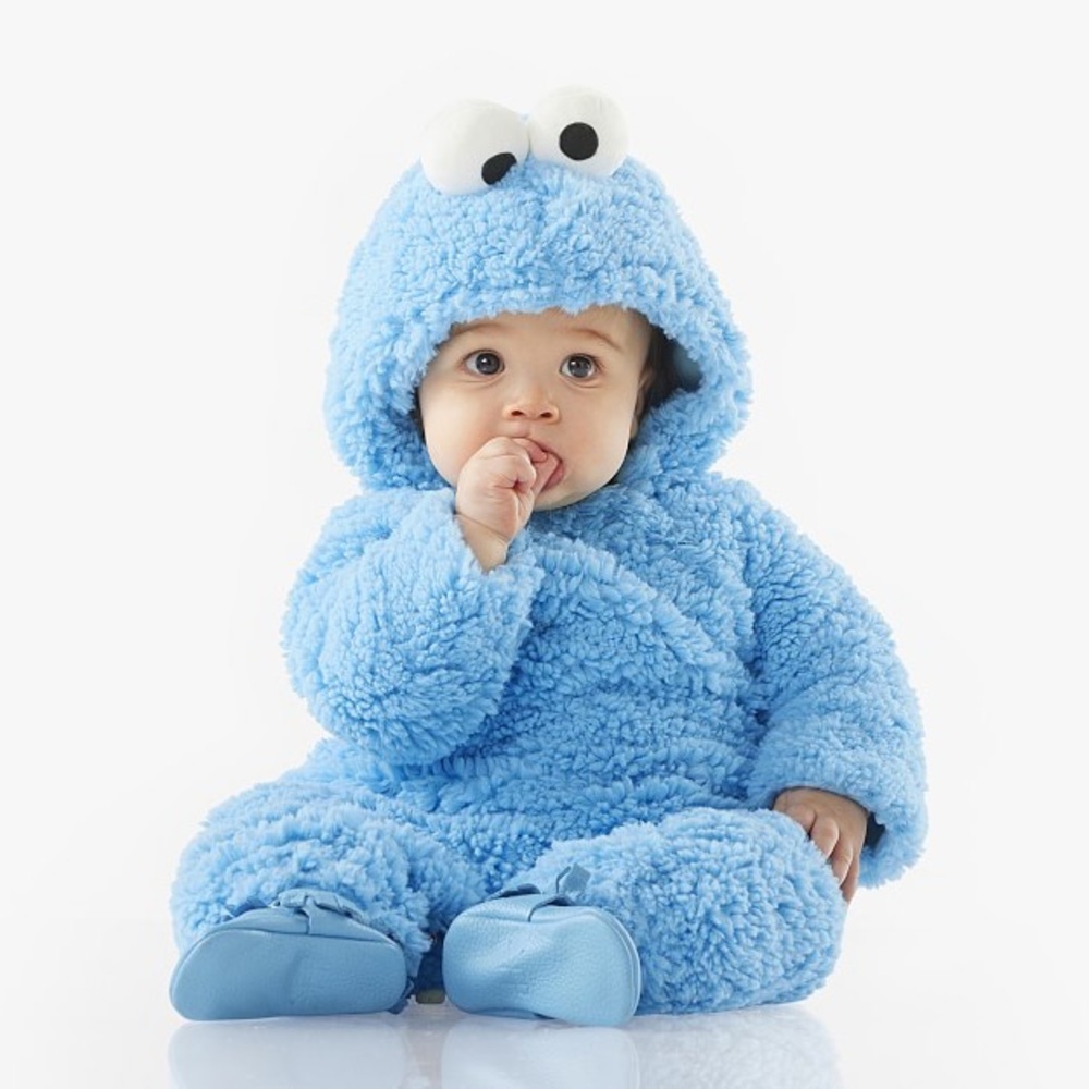 Pottery Barn Kids Cookie Monster Costume